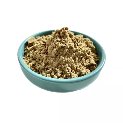Fabriklieferant Thailand Black Ginger Powder OEM-Kapsel und Tabletten für die Gesundheitspflege von Männern