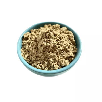 Fabriklieferant Thailand Black Ginger Powder OEM-Kapsel und Tabletten für die Gesundheitspflege von Männern