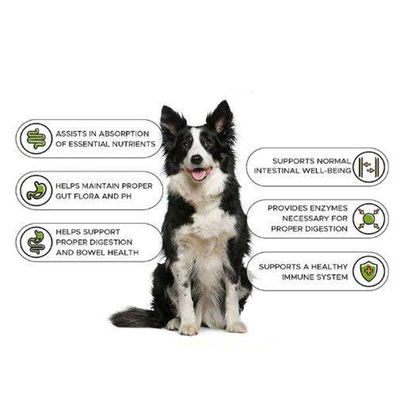 GEWINN-Tablet-Ergänzungs-Gesundheits-Muskel-Gewinn-Erbauer-Dog Weight Gain-Protein-Ergänzung Nutrit Haustier Soems Natur Ausbildungs