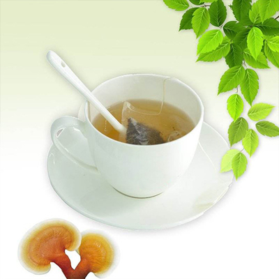 OEM Ganoderma Lucidum Pilz Lingzhi Grünteebeutel Instant Herbal Health Detox Tee