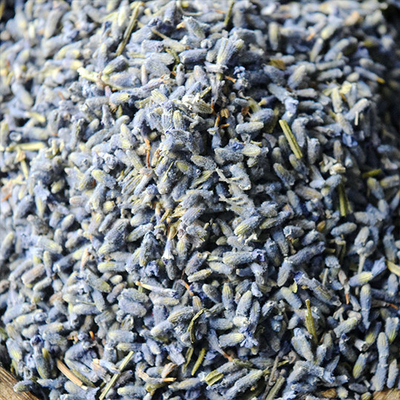 Gesunde Kräuteralternative zu den Tee-Trockenblumen trocknete Lavendel-Tee