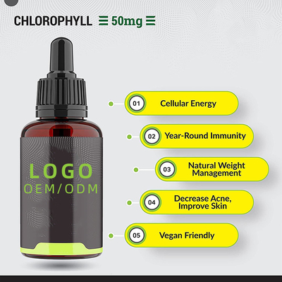 OEM/ODM Chlorophyll-Flüssigkeitstropfen für Wasser mit Pfefferminzgeschmack für die Gesundheit der Haut, das Immunsystem und die Energieergänzung