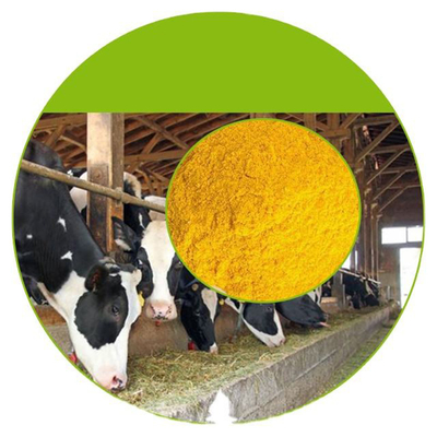 Öl-Frauen-Ernährungsergänzungen des Vitamin-E für Mann-und der Frauen Gesundheit