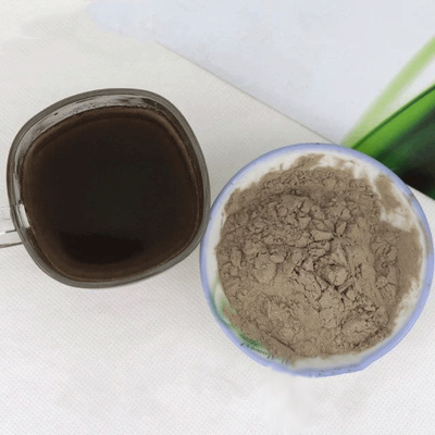 Frisches Noni-Enzympulver für Festgetränkepulver