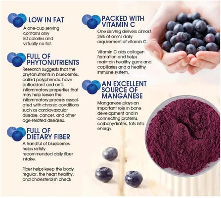 Natürliches Fruchtextrakt Festgetränk Instant Blaubeersäftepulver