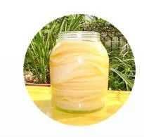 Große Lagerbestände Tee Festgetränk Probiotische Kombucha-Pulverfabrik Großhandel