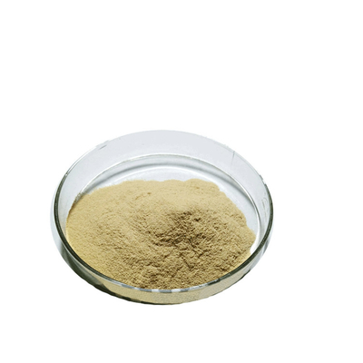 Natürliche Nahrungsergänzungsmittel Hochwertiges Extrakt aus grünem Tee 98% Teepolyphenolpulver