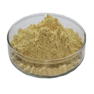 Natürliche Nahrungsergänzungsmittel Hochwertiges Extrakt aus grünem Tee 98% Teepolyphenolpulver