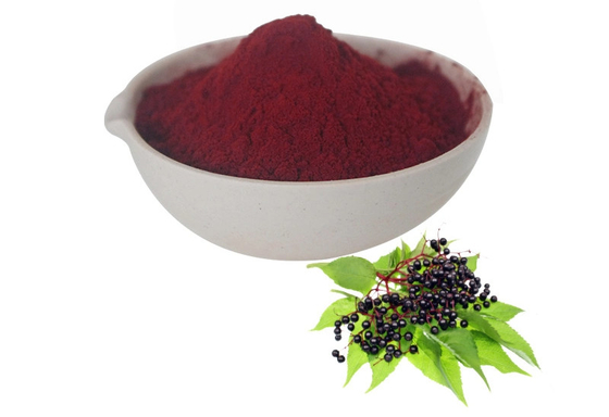 Hersteller Lieferung Warmverkauf Wasserlöslich Instant Elderberry Saft Pulver Fruchtpulver