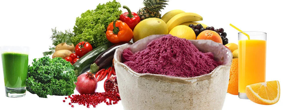Hersteller Lieferung Warmverkauf Wasserlöslich Instant Elderberry Saft Pulver Fruchtpulver